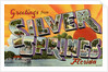Greeting Card from Silver Springs, Florida by Anonymous