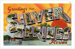 Greeting Card from Silver Springs, Florida by Anonymous