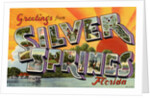 Greeting Card from Silver Springs, Florida by Anonymous