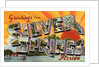 Greeting Card from Silver Springs, Florida by Anonymous