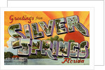 Greeting Card from Silver Springs, Florida by Anonymous