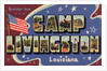 Greeting Card from Camp Livingston by Anonymous
