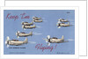 Dive Bombing Planes by Anonymous