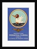 Greeting Card from Pensacola, Florida by Anonymous