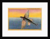 Flying Fish by Anonymous