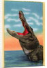 Drop in Any Time in Florida Postcard by Anonymous