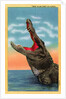 Drop in Any Time in Florida Postcard by Anonymous