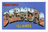 Greeting Card from Bermuda Islands by Anonymous