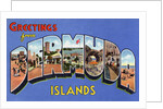Greeting Card from Bermuda Islands by Anonymous