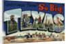 Greeting Card from Texas by Anonymous