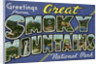 Greeting Card from Great Smoky Mountains National Park by Anonymous