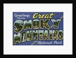Greeting Card from Great Smoky Mountains National Park by Anonymous