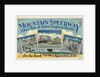 Advertisement for Mountain Speedway by Anonymous