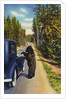 Bear Begging for Food by Anonymous