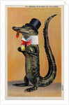 Postcard of Alligator in Top Hat and Bow Tie by Anonymous