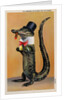 Postcard of Alligator in Top Hat and Bow Tie by Anonymous