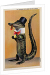 Postcard of Alligator in Top Hat and Bow Tie by Anonymous