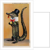 Postcard of Alligator in Top Hat and Bow Tie by Anonymous