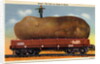 Giant Potato on a Train Car by Anonymous