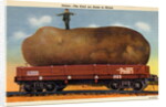 Giant Potato on a Train Car by Anonymous