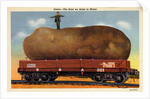 Giant Potato on a Train Car by Anonymous