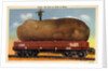 Giant Potato on a Train Car by Anonymous