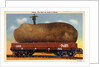 Giant Potato on a Train Car by Anonymous