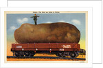 Giant Potato on a Train Car by Anonymous