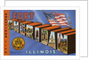 Greeting Card from Illinois by Anonymous