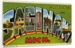 Greeting Card from Saginaw, Michigan by Anonymous