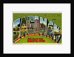 Greeting Card from Saginaw, Michigan by Anonymous