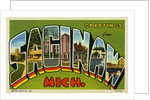 Greeting Card from Saginaw, Michigan by Anonymous