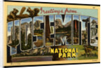 Greeting Card from Yosemite National Park by Anonymous