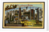 Greeting Card from Yosemite National Park by Anonymous