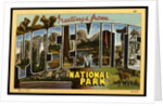 Greeting Card from Yosemite National Park by Anonymous
