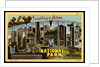 Greeting Card from Yosemite National Park by Anonymous