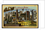 Greeting Card from Yosemite National Park by Anonymous