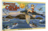 Greeting Card from Santa Catalina Island by Anonymous