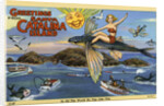 Greeting Card from Santa Catalina Island by Anonymous