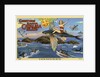 Greeting Card from Santa Catalina Island by Anonymous