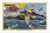 Greeting Card from Santa Catalina Island by Anonymous