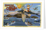Greeting Card from Santa Catalina Island by Anonymous