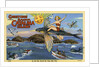 Greeting Card from Santa Catalina Island by Anonymous