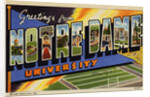 Greeting Card from Notre Dame University by Anonymous
