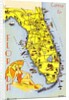 Map and Promotion for Florida by Anonymous