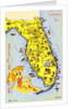 Map and Promotion for Florida by Anonymous