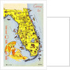 Map and Promotion for Florida by Anonymous