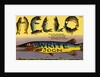Fish Greeting Card by Anonymous