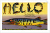 Fish Greeting Card by Anonymous