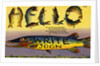 Fish Greeting Card by Anonymous